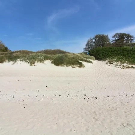 Sylvie - 400m From The Sea By Interhome Holiday home